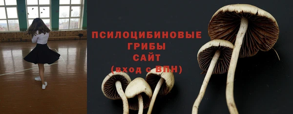 кокс Костерёво