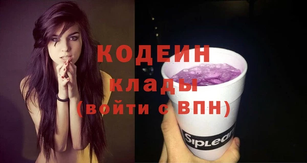 гидра Киреевск