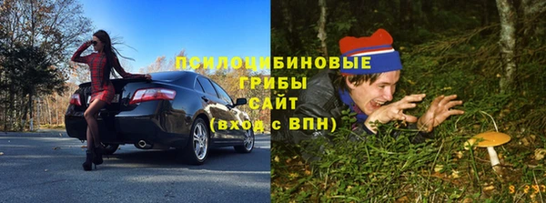 кокс Костерёво