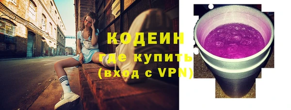 индика Киренск