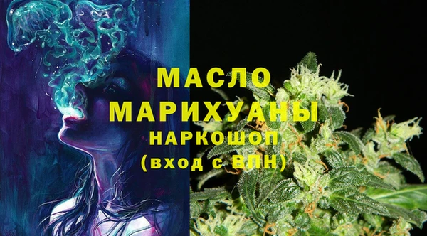 МДПВ Краснослободск