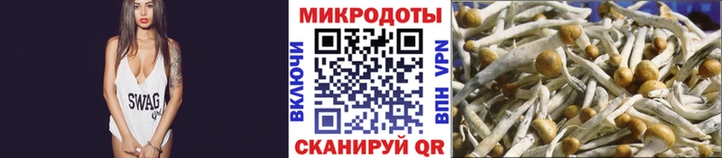 Галлюциногенные грибы Magic Shrooms  Маркс 