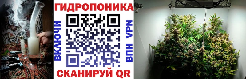 Бошки марихуана Bruce Banner  kraken вход  Маркс  сколько стоит 